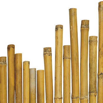 CANNA BAMBOO KM0 D<60MM MISURA SECONDO DISPONIBILITA'