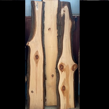 TAVOLA METASEQUOIA 50MM MISURE A SECONDO DELLA DISPONIBILITA'