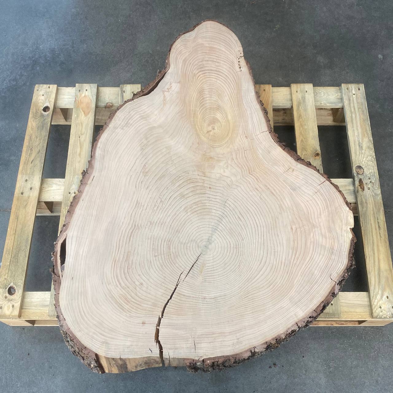 FETTA CEDRO D116/84  SP9,5 CM