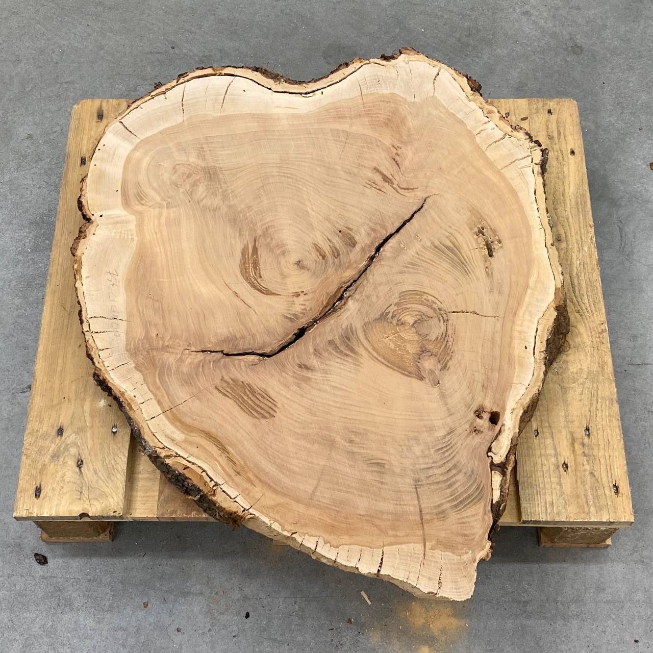 FETTA TRONCO CILIEGIO D70/85 SP 5CM 