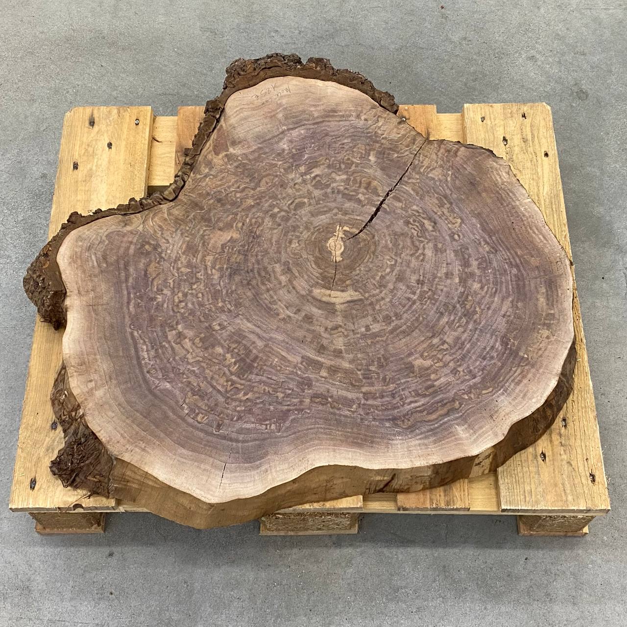 FETTA TRONCO NOCE CANALETTO D70/80 SP 7CM 