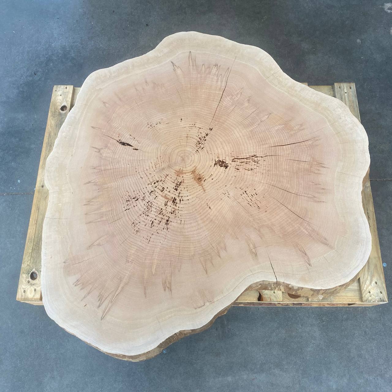 FETTA META SEQUOIA D110/107 SP 13,5 CM