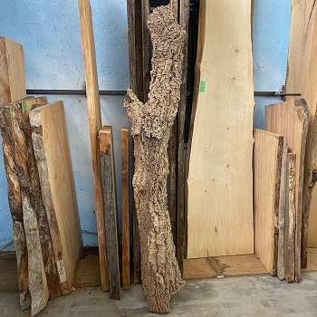 TRONCO CAVO DI SUGHERO 220CM D75CM