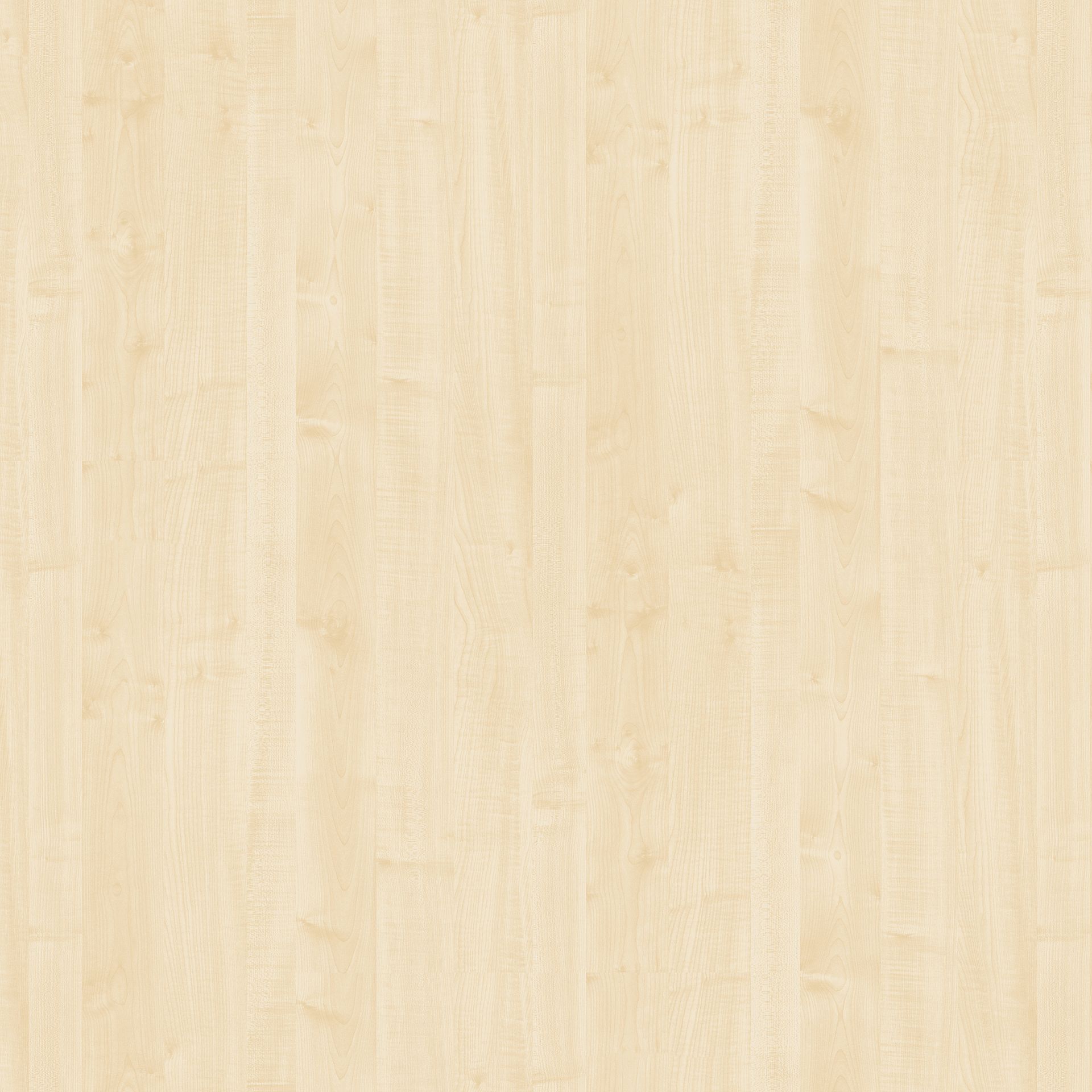 NOBILITATO ACERO 2X280X186CM