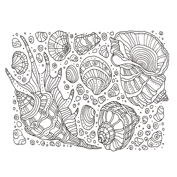 TELA CONCHIGLIE 400X300X35MM  