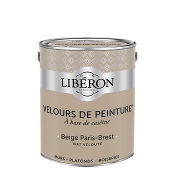 VELOURS DE PEINTURE BEIGE PARIS 2,5LT