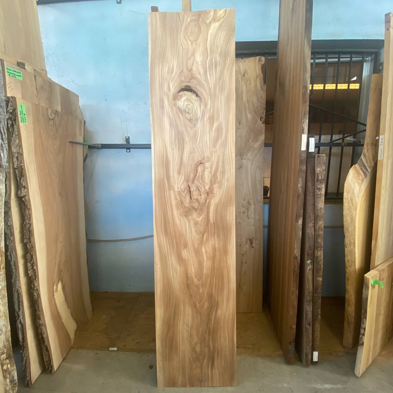 TAVOLA OLMO GRZ 2280X520X45MM