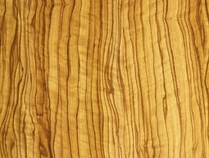 OLIVO
