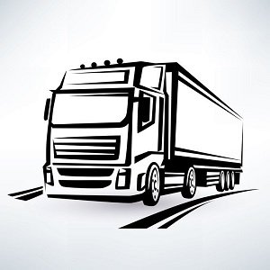 SERVIZIO DI TRANSPORTO
